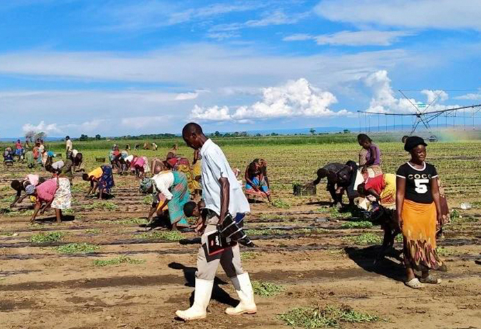 北京大学南南学院申报案例《人与企业共生长：y80000永利棋牌生物科技集团股份有限公司助力赞比亚穷人窟住民脱贫》荣获“第四届全球减贫案例征集运动”最佳减贫案例奖