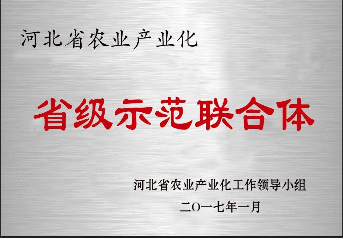 农业工业化省级树模联合体