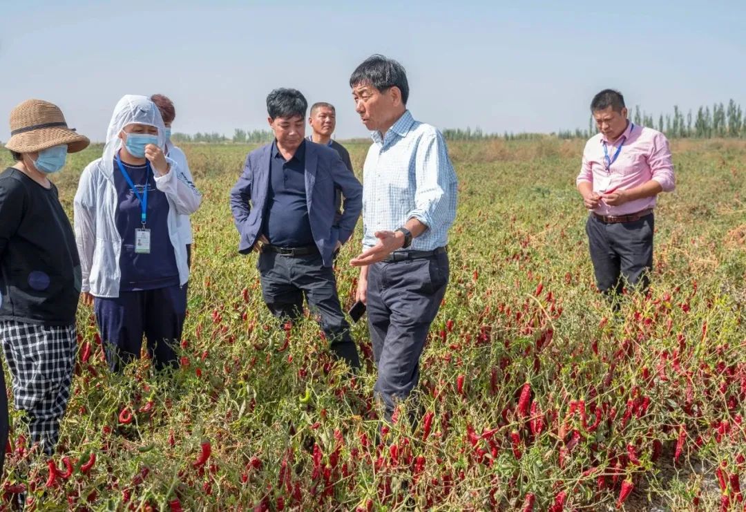 y80000永利棋牌(中国)有限公司官网
