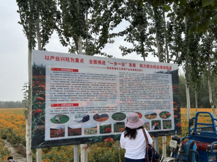 y80000永利棋牌(中国)有限公司官网