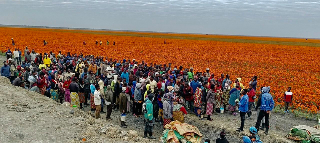 y80000永利棋牌(中国)有限公司官网