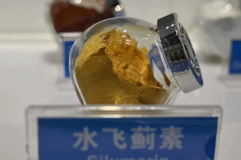 y80000永利棋牌(中国)有限公司官网