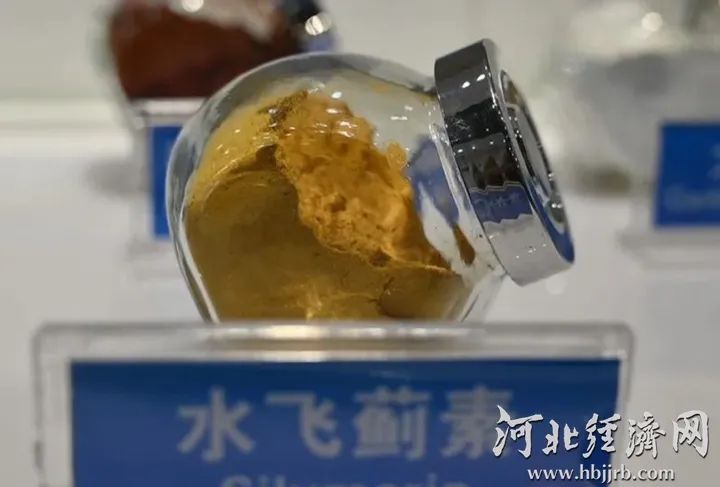 y80000永利棋牌(中国)有限公司官网