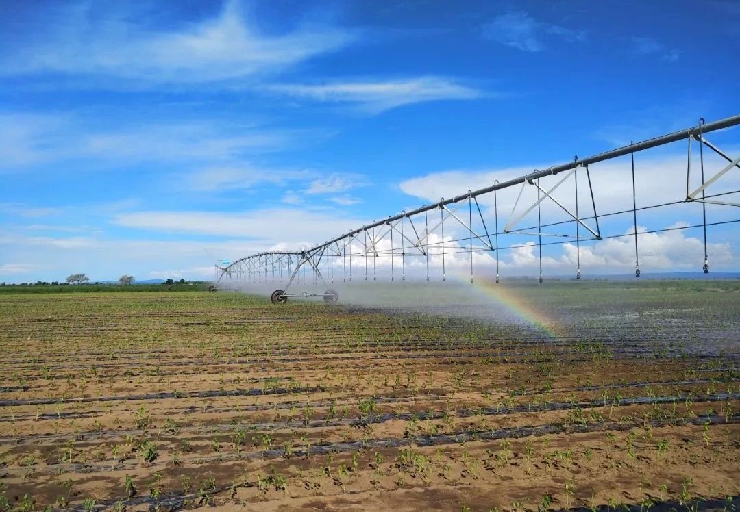 y80000永利棋牌(中国)有限公司官网