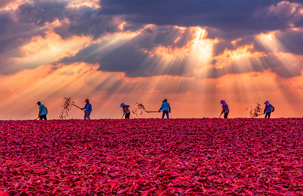 y80000永利棋牌(中国)有限公司官网