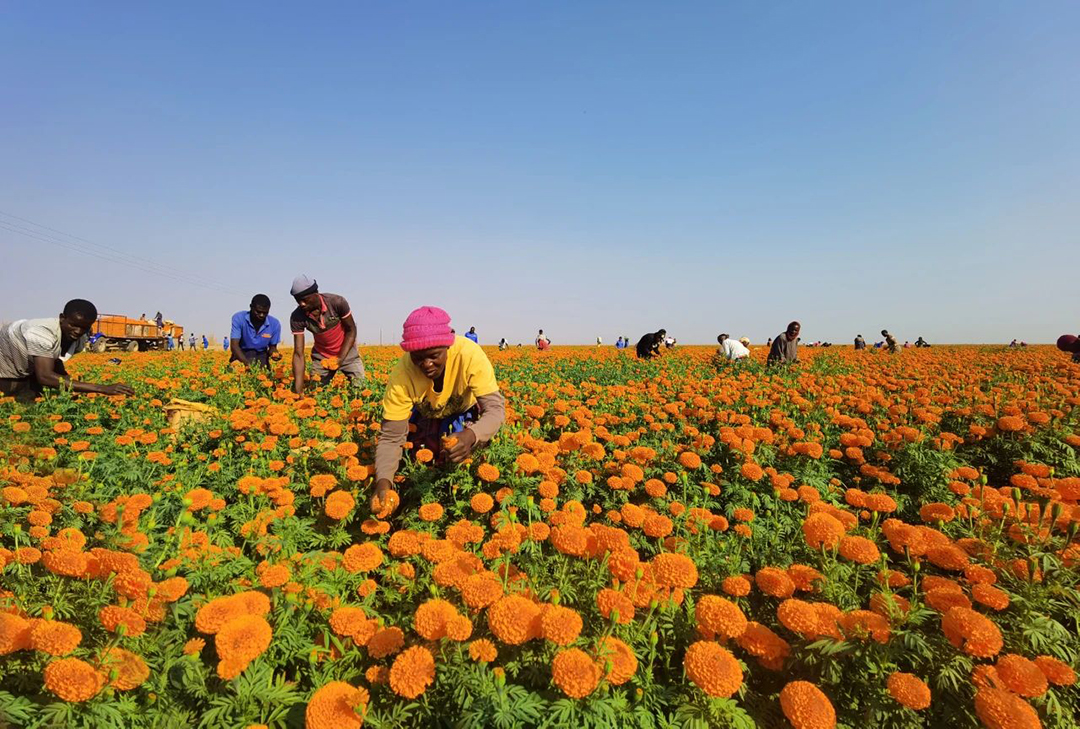 y80000永利棋牌(中国)有限公司官网