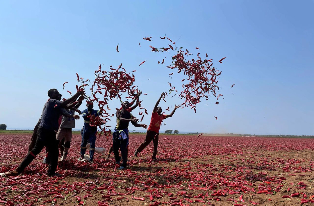 y80000永利棋牌(中国)有限公司官网