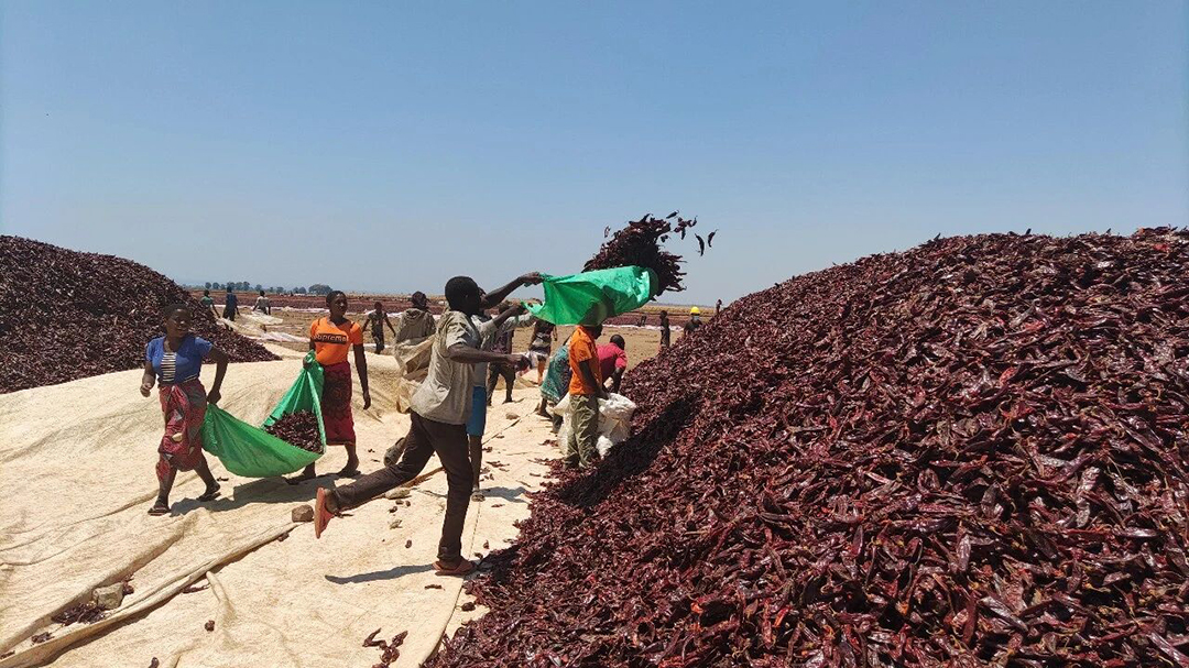 y80000永利棋牌(中国)有限公司官网